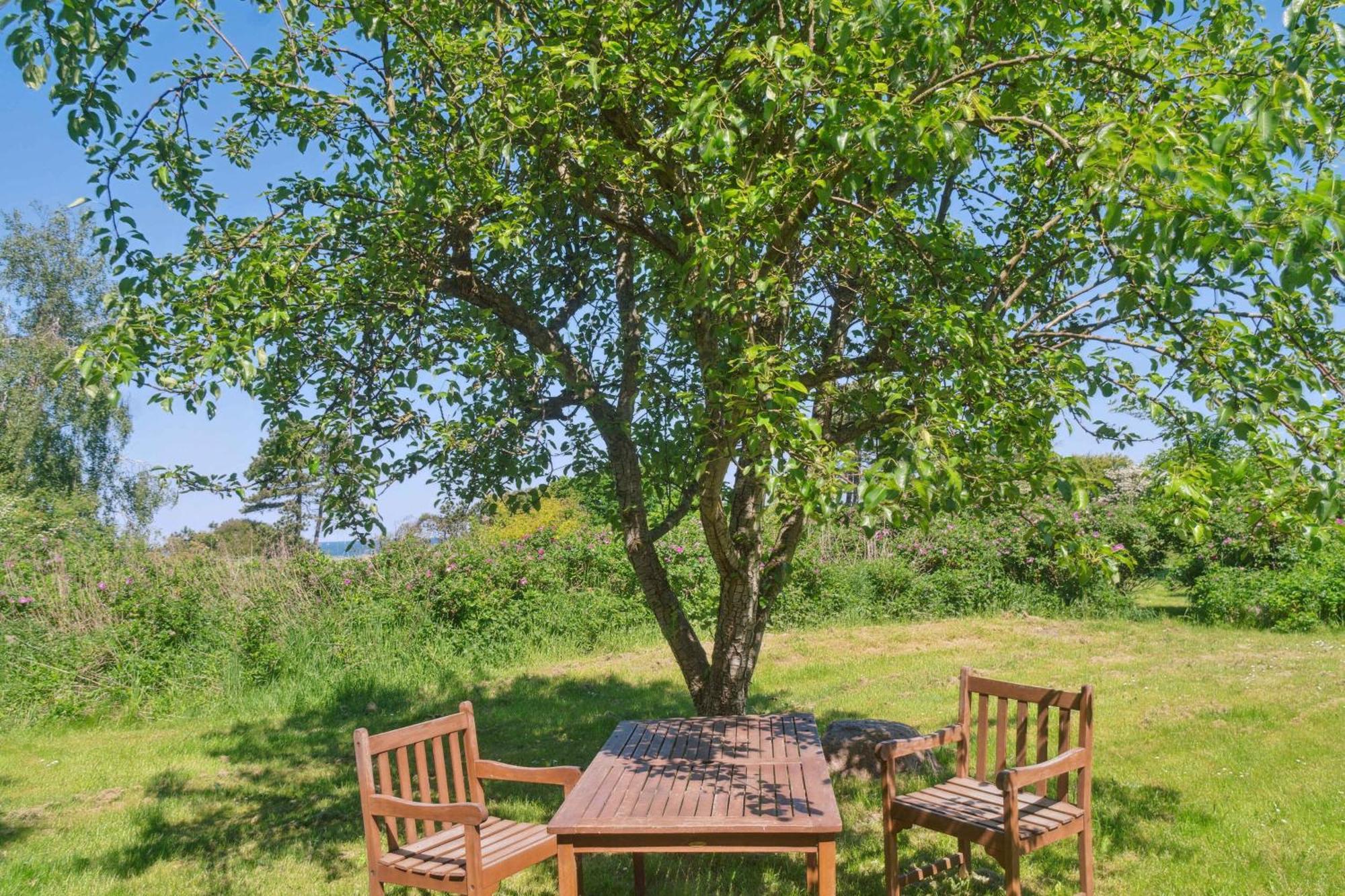 Idyllic Coastal Cottage Comfort And Relaxing Kalundborg Esterno foto